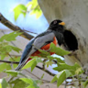 Meet your Posher, Pamela